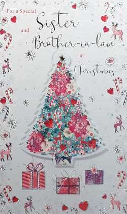 Special Sister And Brother In Law Christmas Card