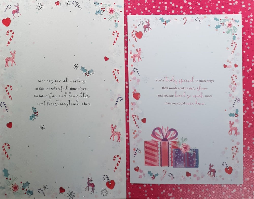 Special Sister And Brother In Law Christmas Card