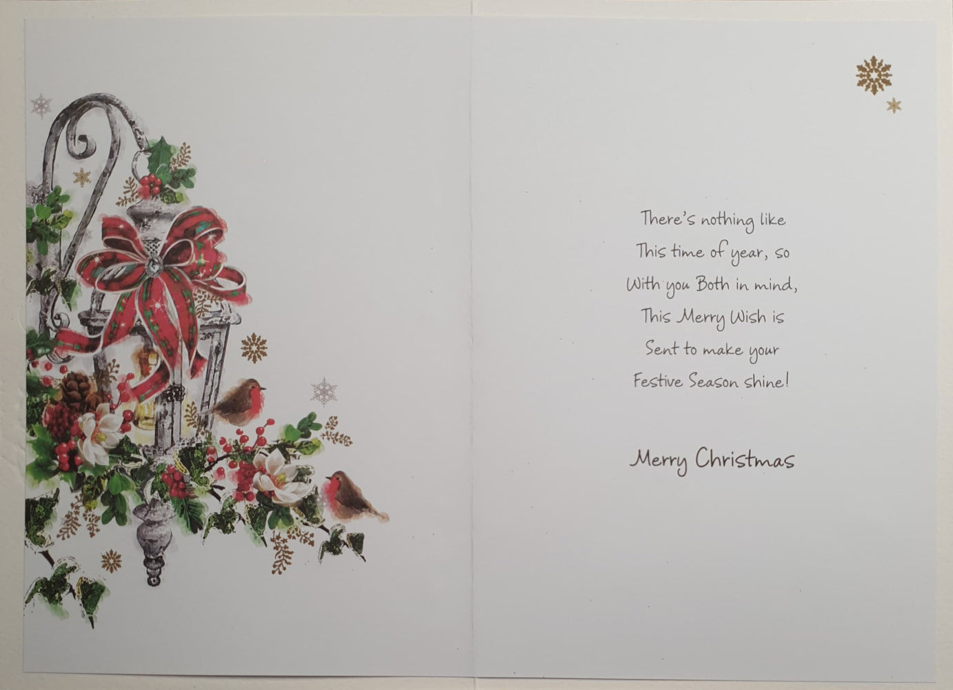 Special Brother And Sister In Law Christmas Card - Light Lamp & Birds