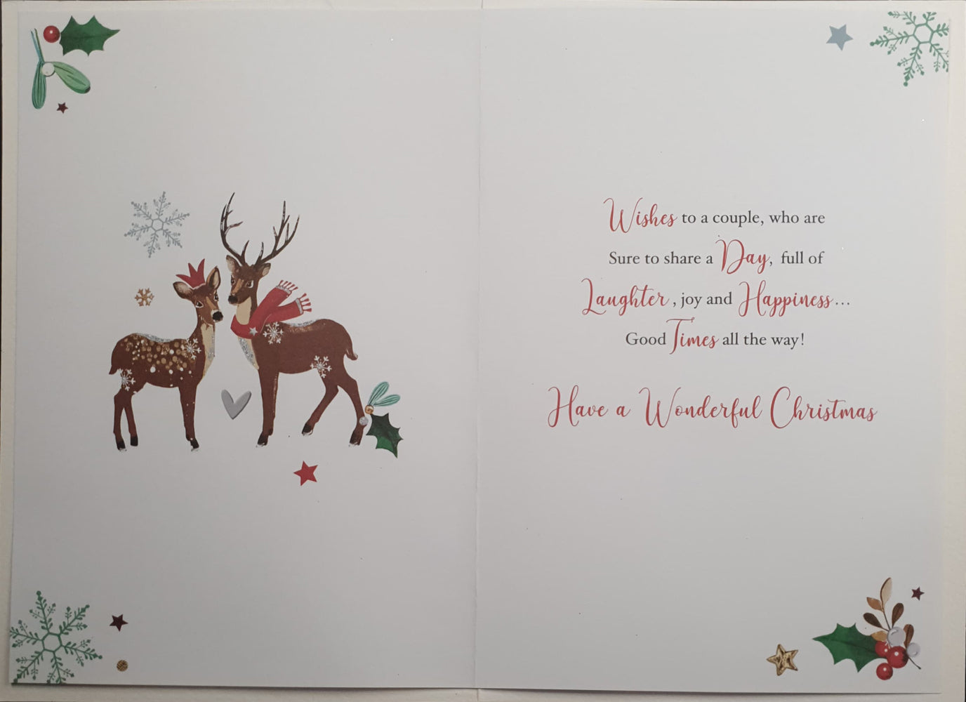 Special Sister And Brother In Law Christmas Card - Snow Bowl & Dear