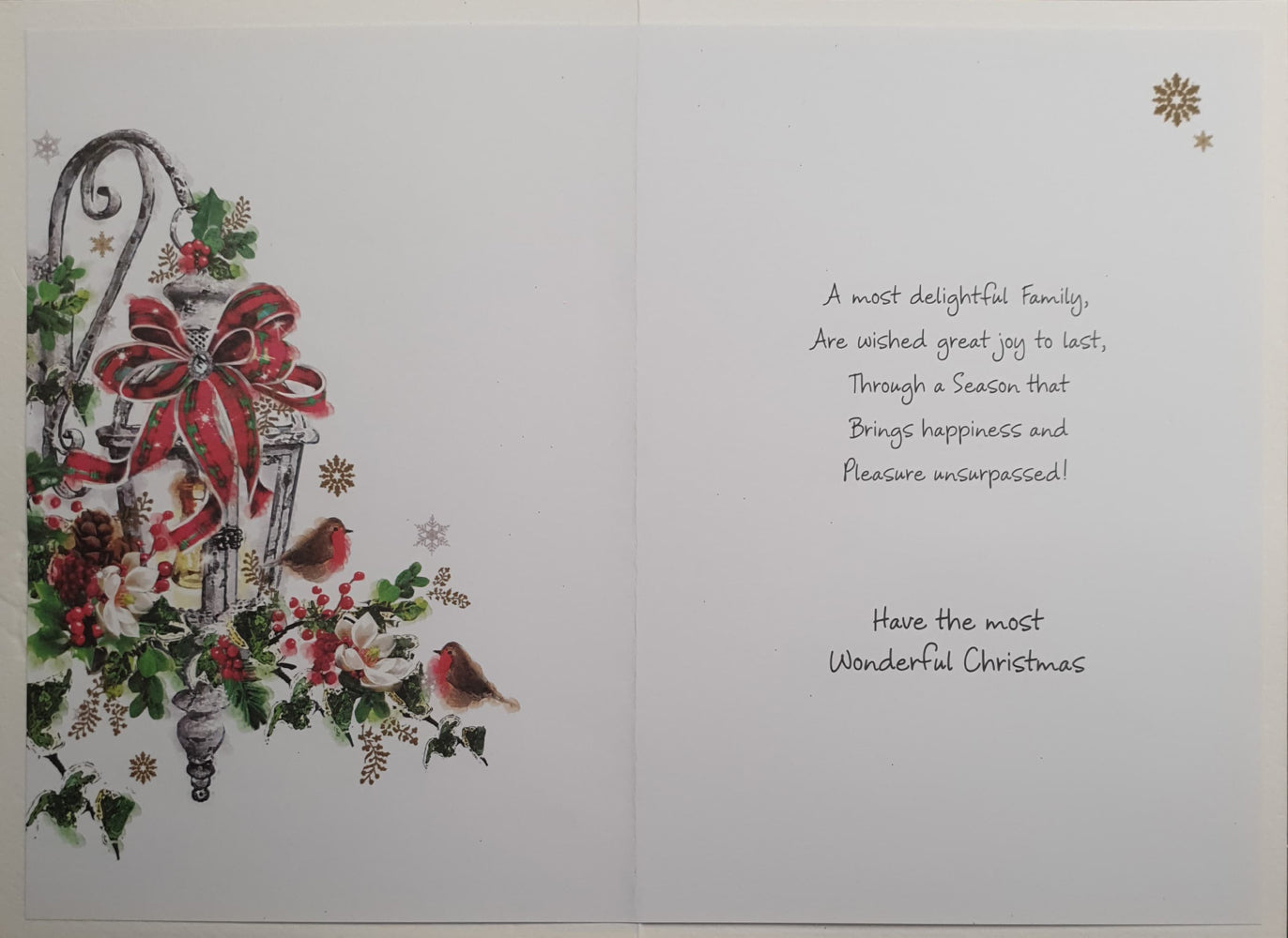Family Christmas Card - Light Lamp & Birds