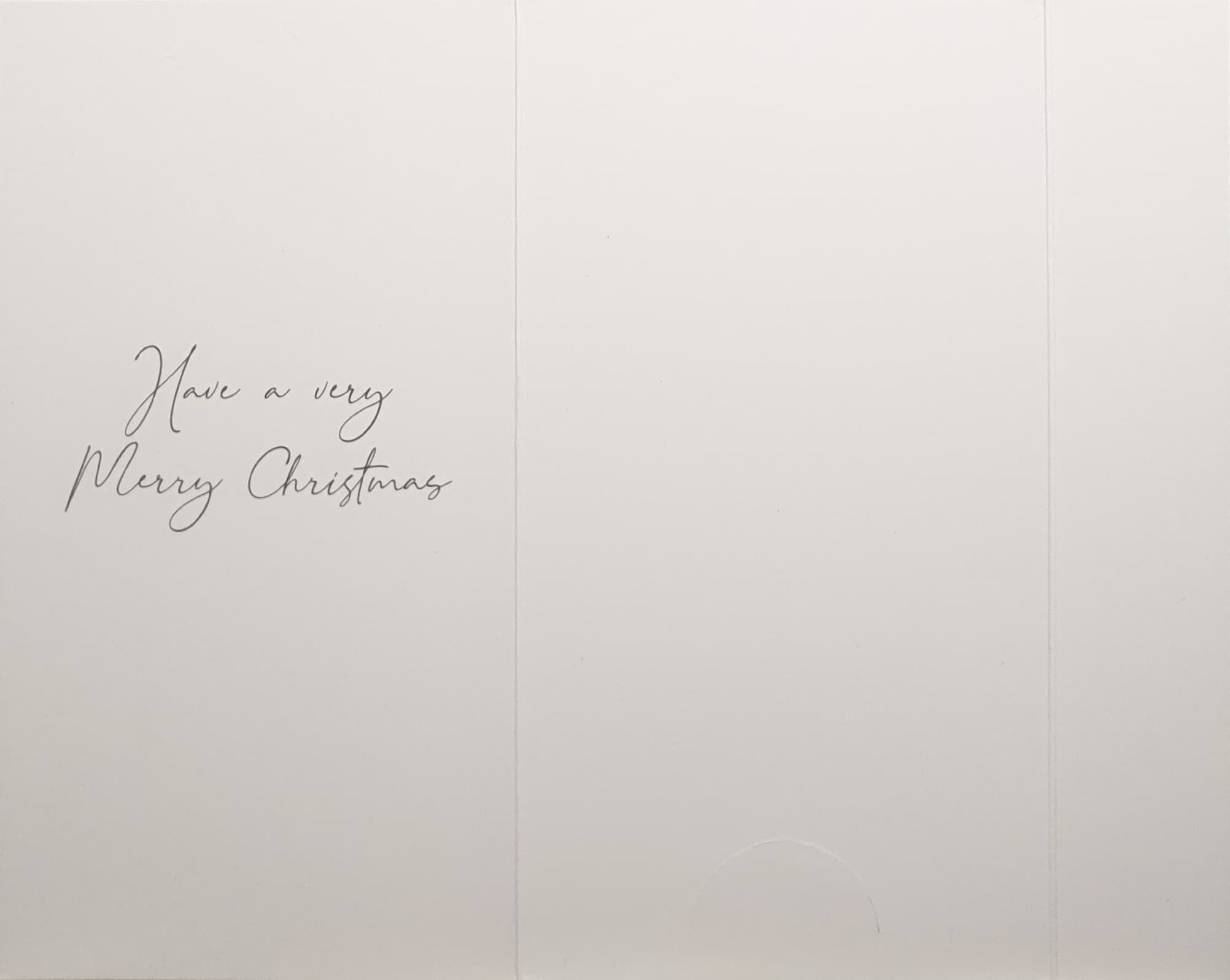 Money Wallet Christmas Card - A Gift For You / Deer & Bird & Trees in White Baubles