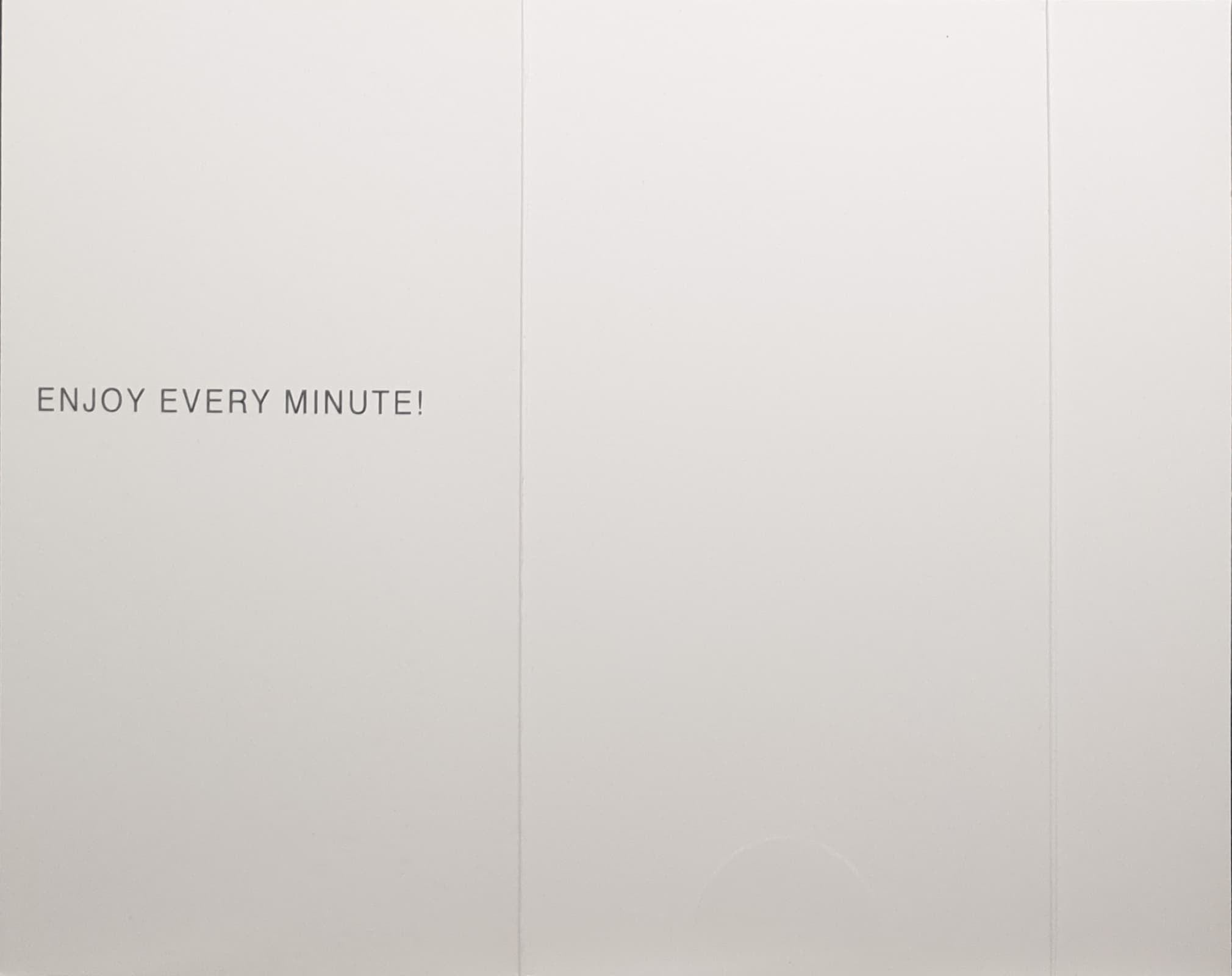 Money Wallet Christmas Card - Cute Christmas Sloths Hanging from Trees