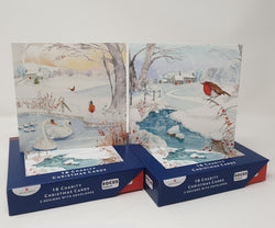 Charity Christmas Cards - Box of 16 / Focus Ireland  - Robins at Frozen Lake
