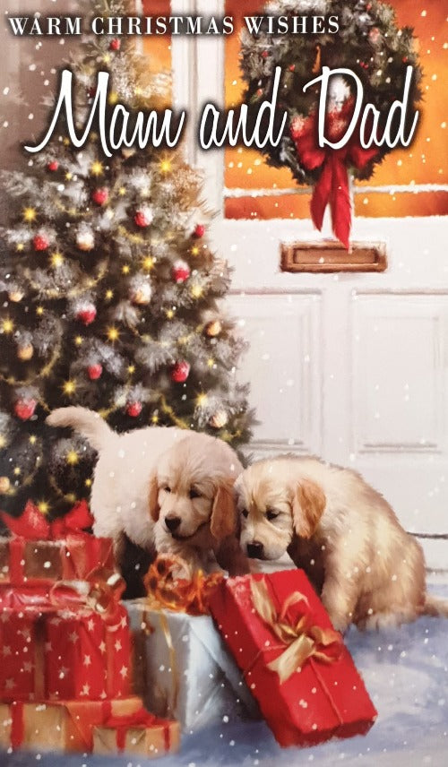 Mam And Dad Christmas Card