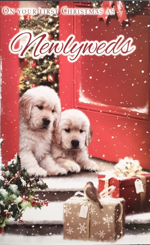First Wedding Christmas Card