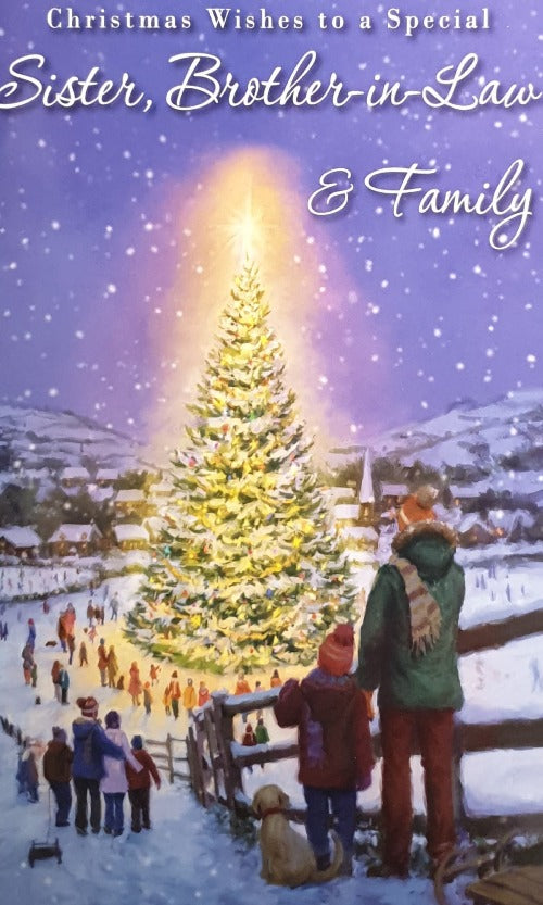 Special Sister Brother In Law And Family Christmas Card