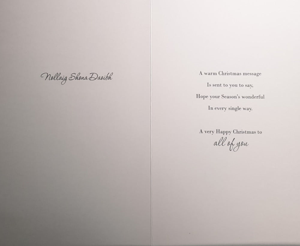 Special Sister Brother In Law And Family Christmas Card