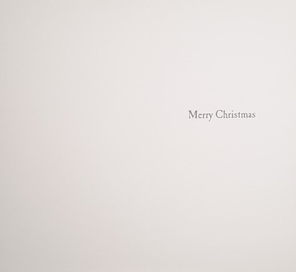 Funny Christmas Card