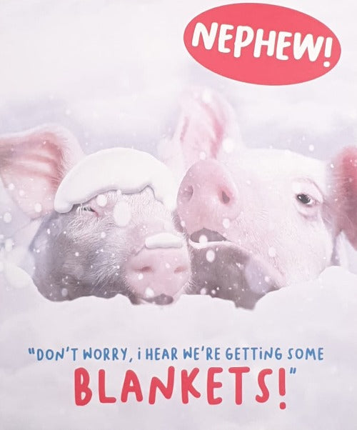 Nephew Christmas Card