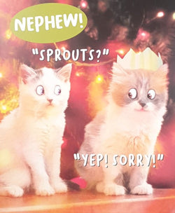 Funny Nephew Christmas Card