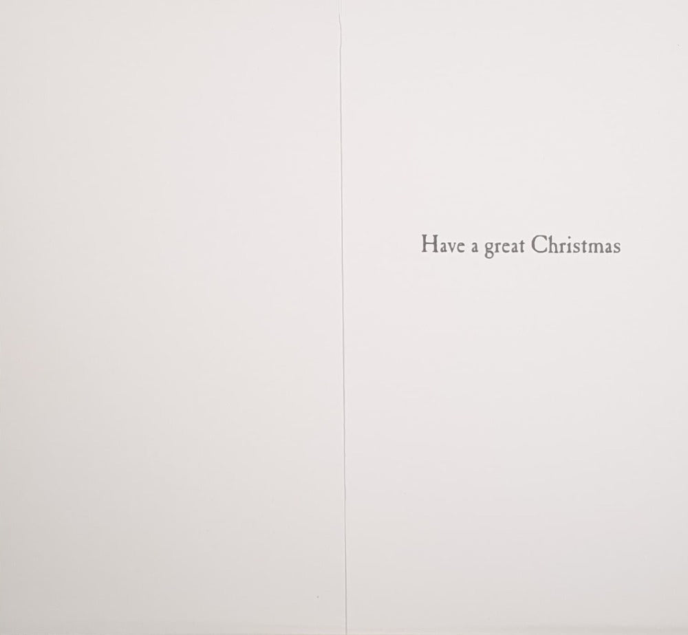 Funny Special Nephew Christmas Card