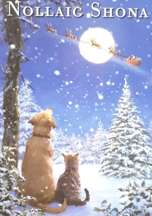 General Christmas Card 