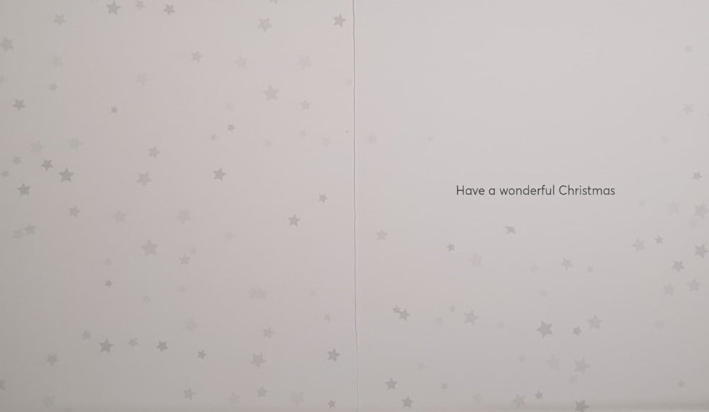 Funny Christmas Card