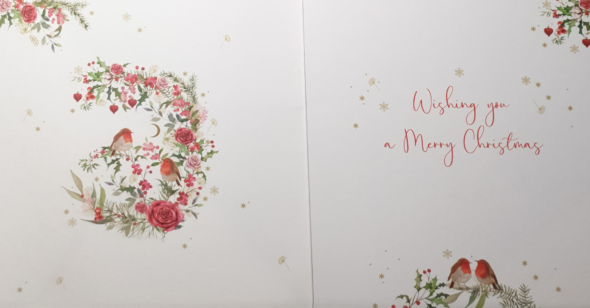 Seasons Greetings Christmas Card - Carnation & Sparrow