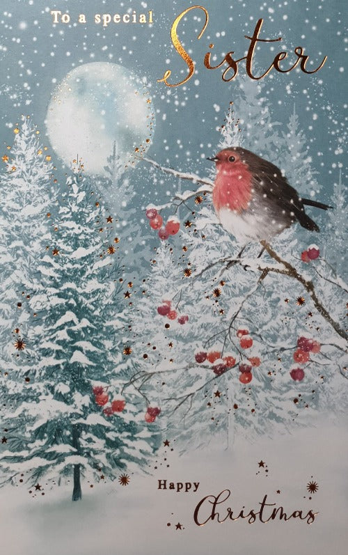 Special Sister Christmas Card
