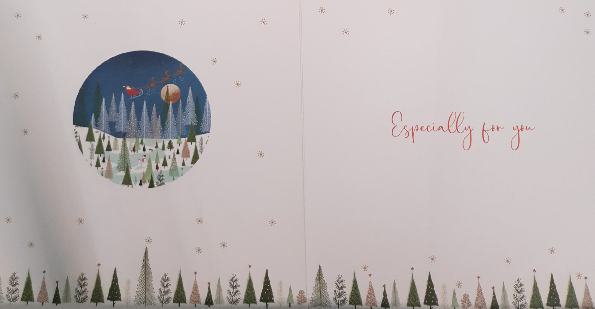 Seasons Greetings Christmas Card - Wide Trees & Sleigh