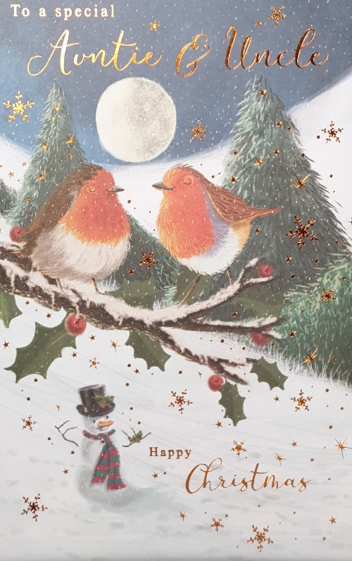 Special Auntie And Uncle Christmas Card
