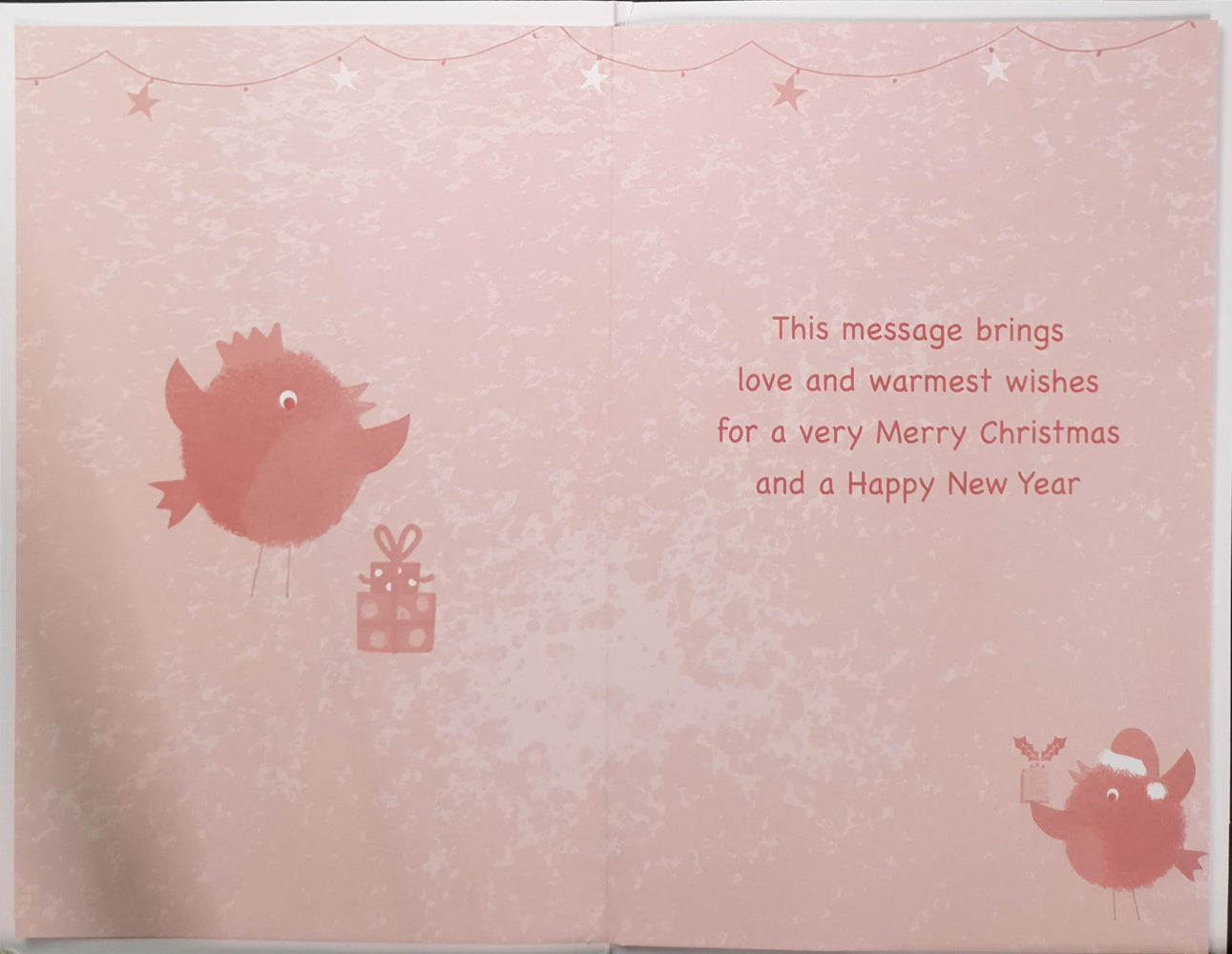 Auntie Christmas Card - Birds & The Present