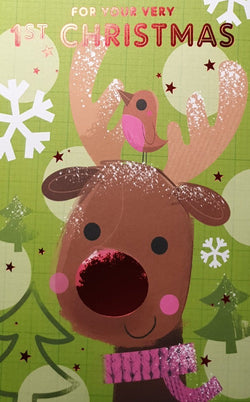 1st  Christmas Card