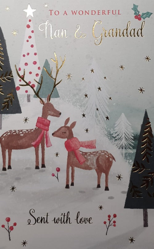 Nan And Grandad Christmas Card