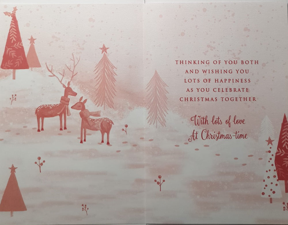 Nan And Grandad Christmas Card