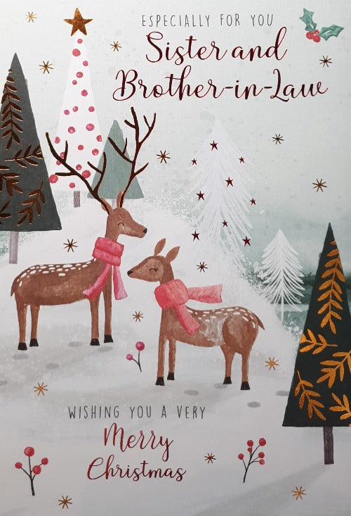 Especially For You Sister And Brother In Law Christmas Card