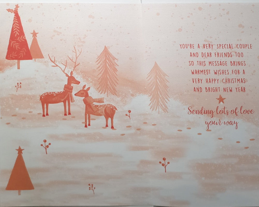 Especially For You Sister And Brother In Law Christmas Card