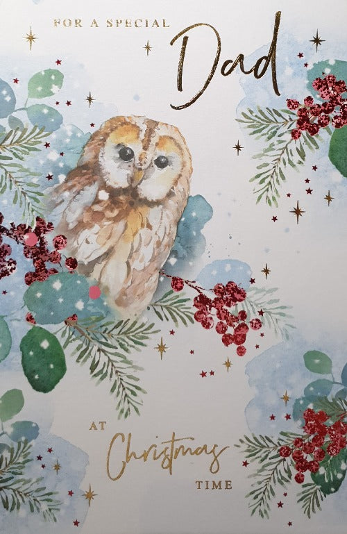 Special Dad Christmas Card
