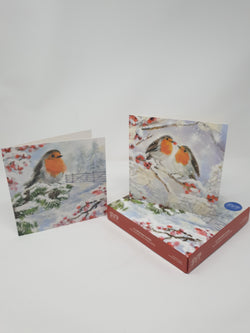 Charity Christmas Cards - Box of 12 in English & Irish/ Society Of St. Vincent de Paul SVP - Robin on Snowy Branch