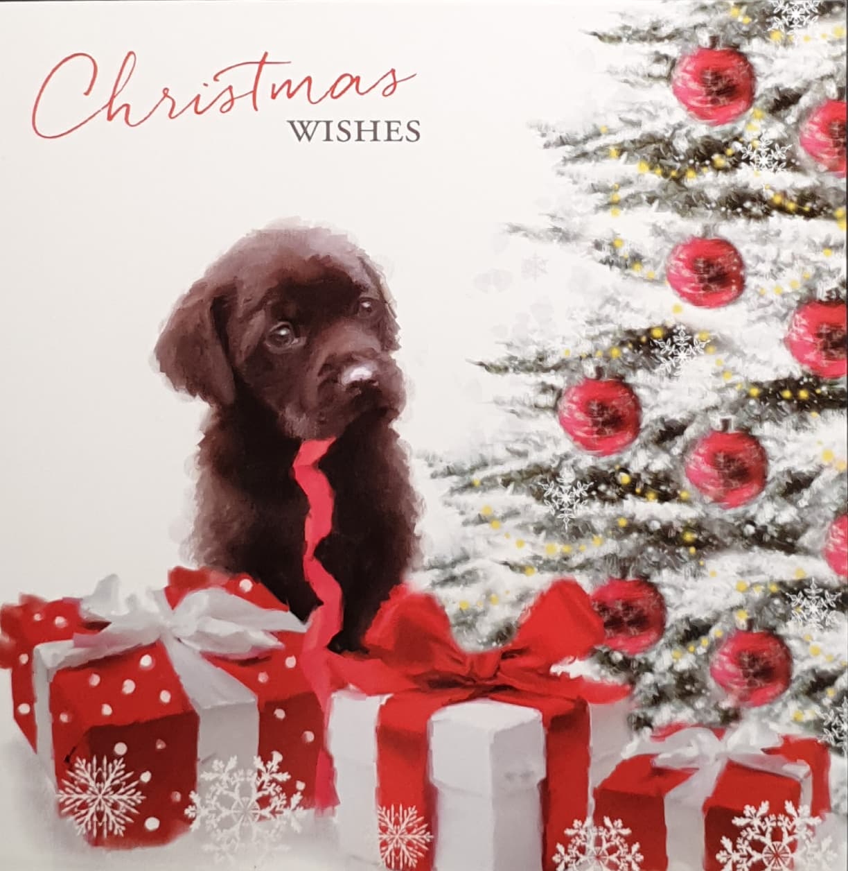 Charity Christmas Card (In Irish & English) - Pack of 8 Large Size / Cystic Fibrosis Ireland - Puppy with Gifts