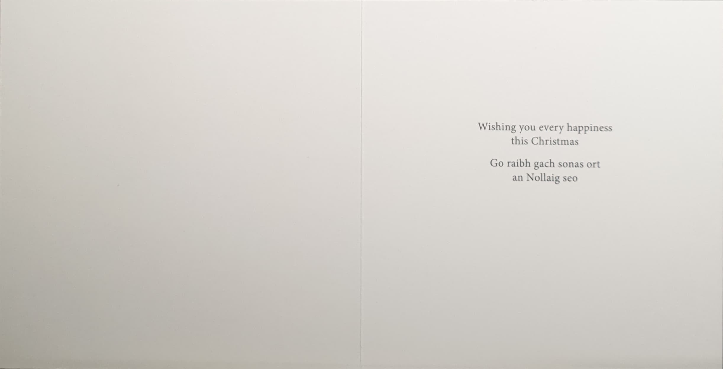 Charity Christmas Card (In Irish & English) - Pack of 8 Large Size / Cystic Fibrosis Ireland - Dogs Watching Santa Sleigh