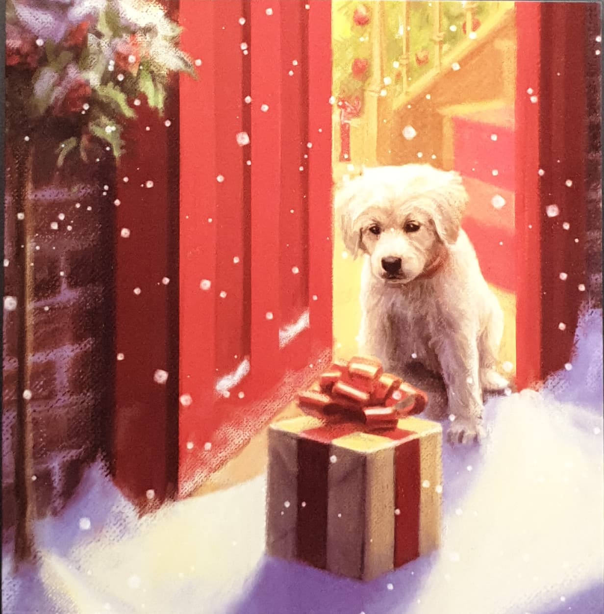 Charity Christmas Card (In Irish & English) - Pack of 8 Large Size / Cystic Fibrosis Ireland - Puppy & GIft at Door