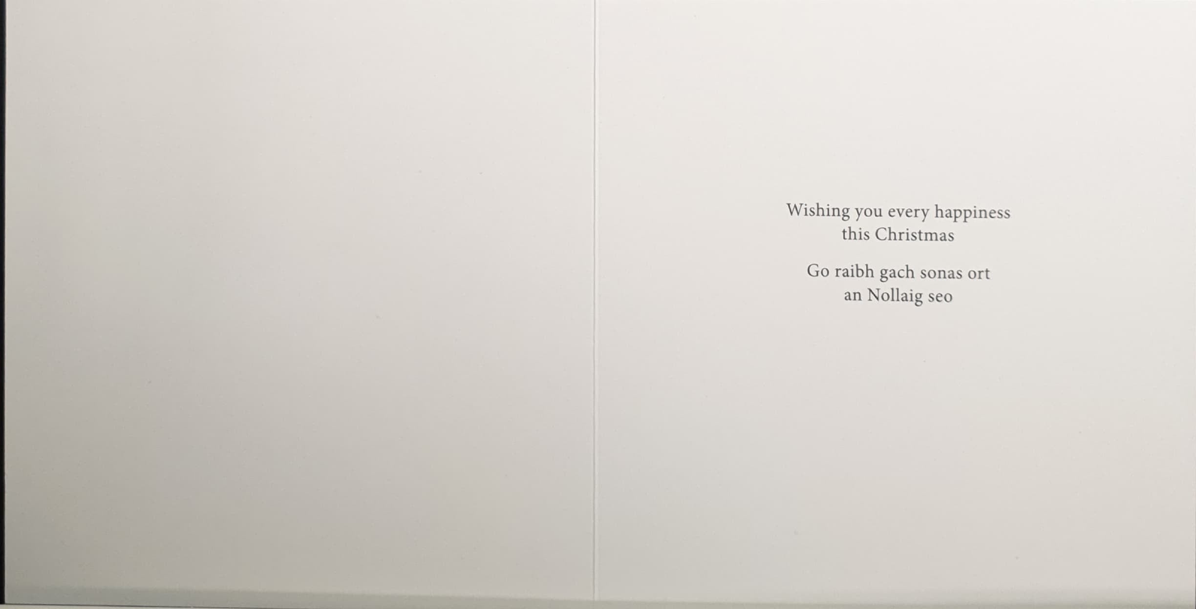 Charity Christmas Card (In Irish & English) - Pack of 8 Large Size / Cystic Fibrosis Ireland - Robin on Post Box