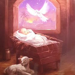 Charity Christmas Card (In Irish & English) - Pack of 8 Large Size / Cystic Fibrosis Ireland - Baby & Dove