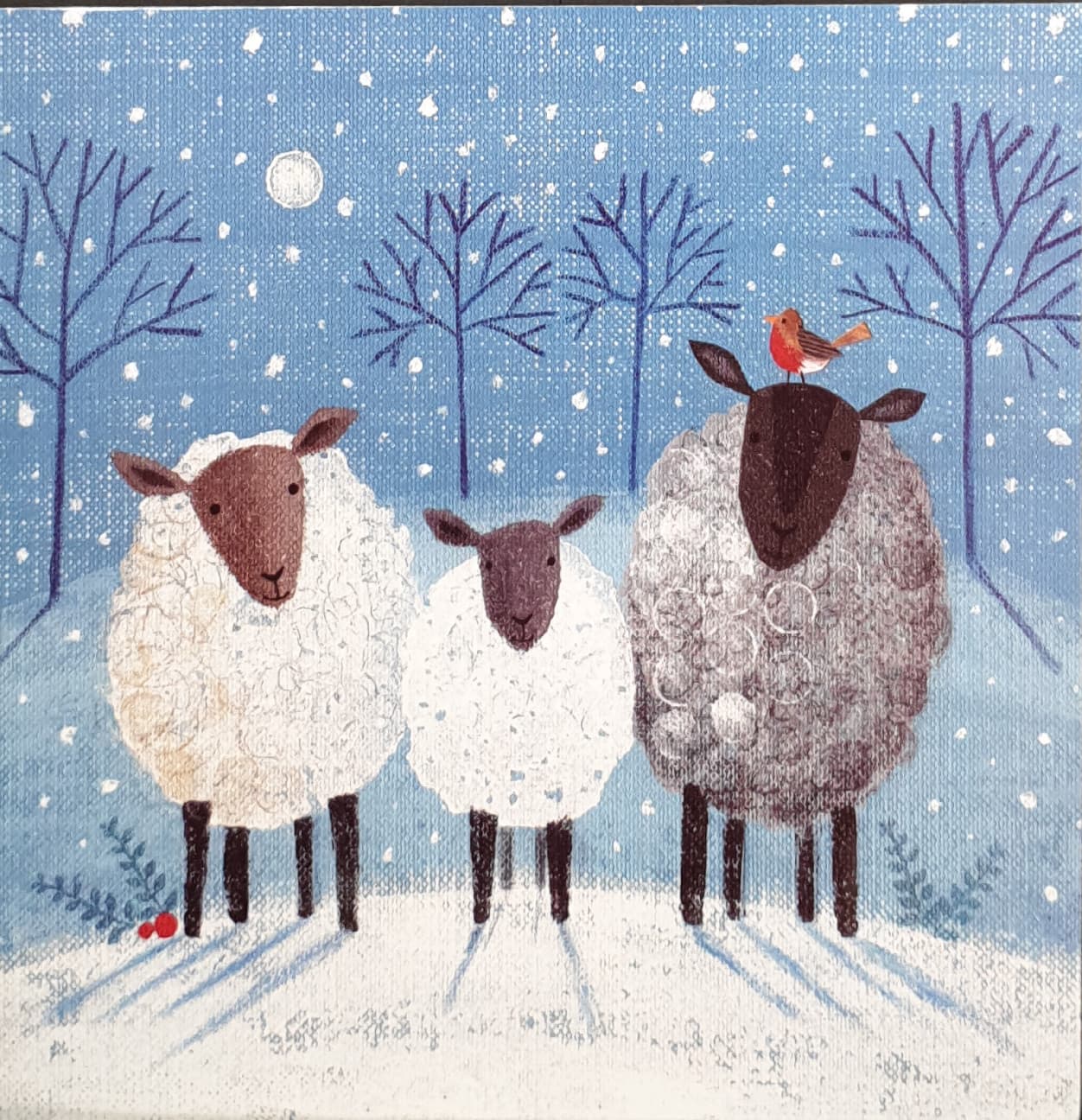 Charity Christmas Card (In Irish & English) - Pack of 8 Large Size / Cystic Fibrosis Ireland - Three Sheep