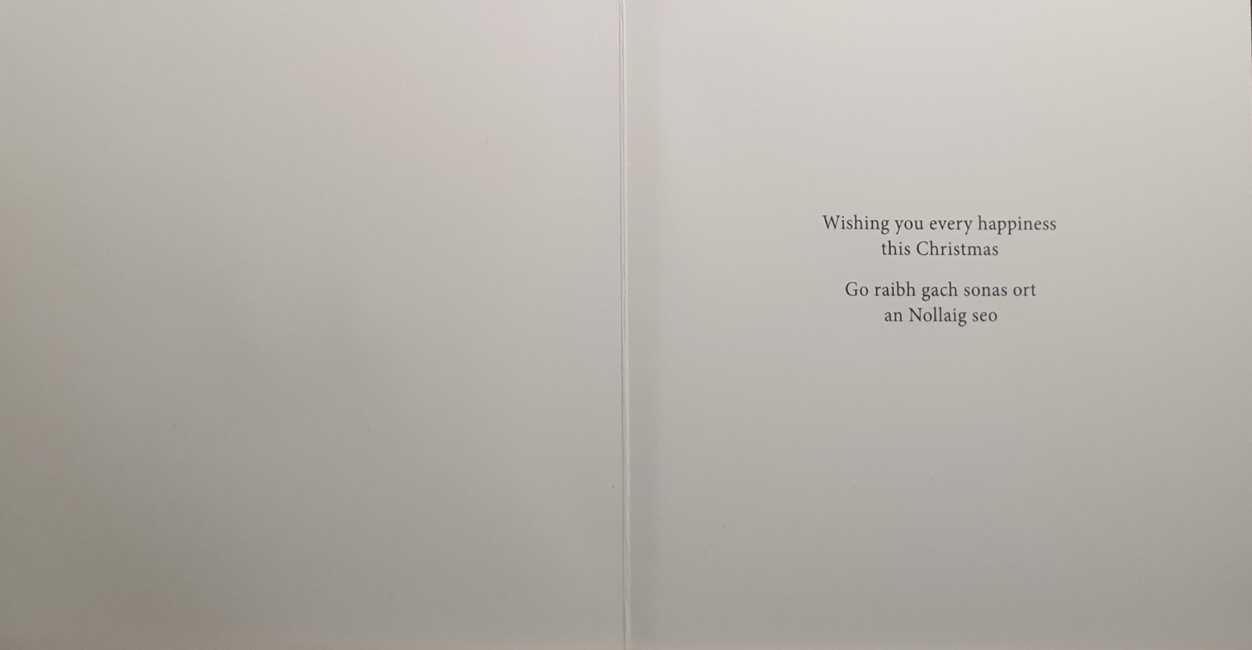 Charity Christmas Cards - Pack of 8 / Down Syndrome Ireland - Dogs Watching Sleigh