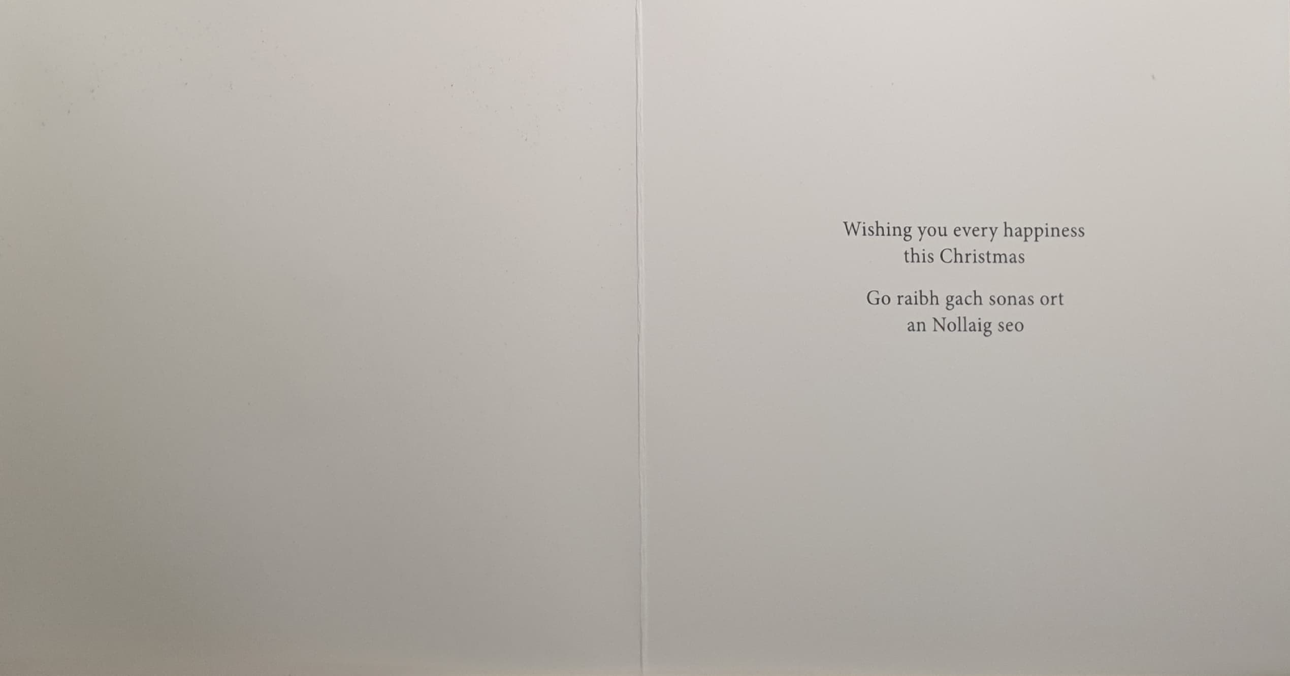 Charity Christmas Cards - Pack of 8 / Down Syndrome Ireland - Puppies in Santa Hats