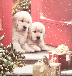 Charity Christmas Cards - Pack of 8 / Down Syndrome Ireland - Cute Puppies Receiving Gifts