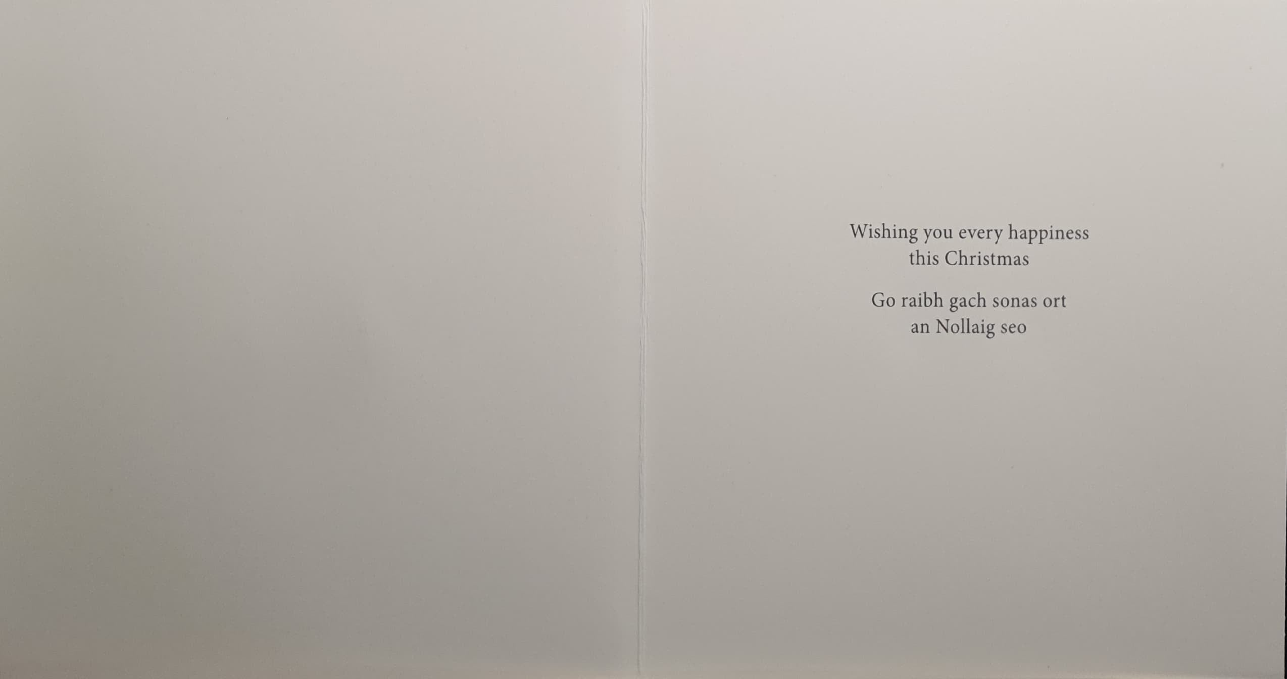 Charity Christmas Cards - Pack of 8 / Down Syndrome Ireland - Dog & Cat Sleeping at Fireplace