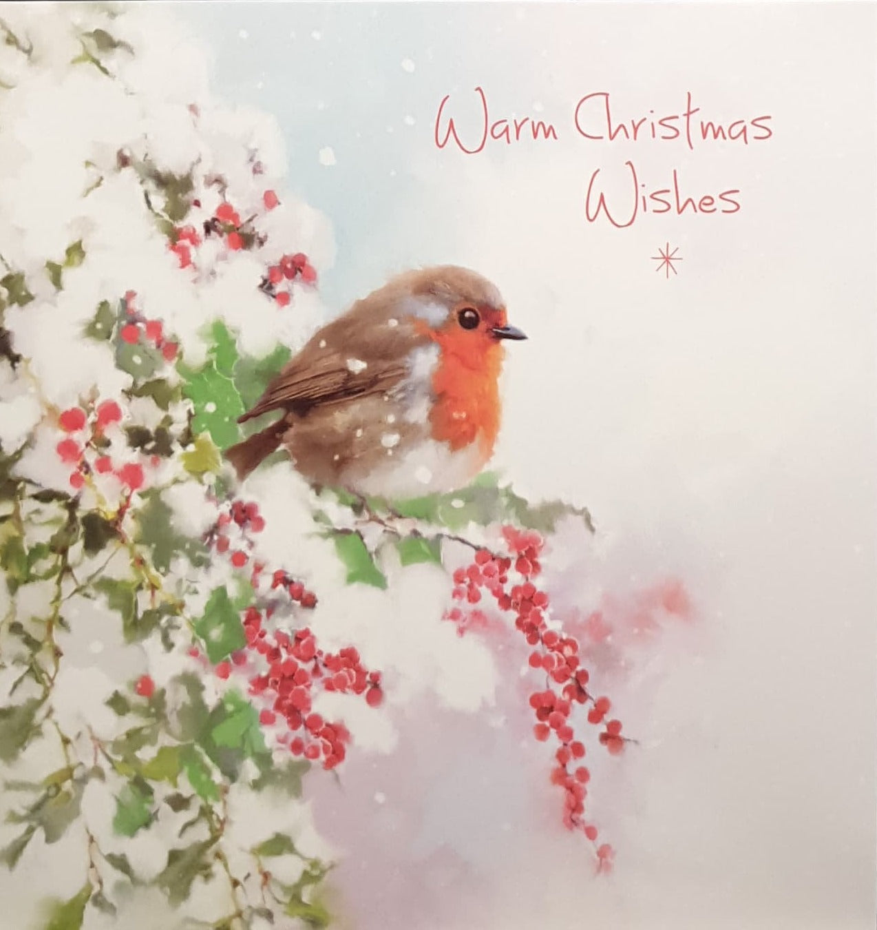 Charity Christmas Cards - Pack of 8 / Down Syndrome Ireland - Robin on Berry Branch