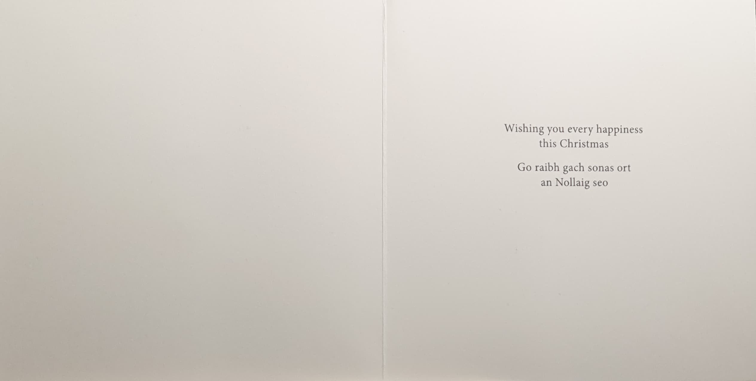 Charity Christmas Cards - Pack of 8 / Down Syndrome Ireland - Santa & Rudolph on Bike