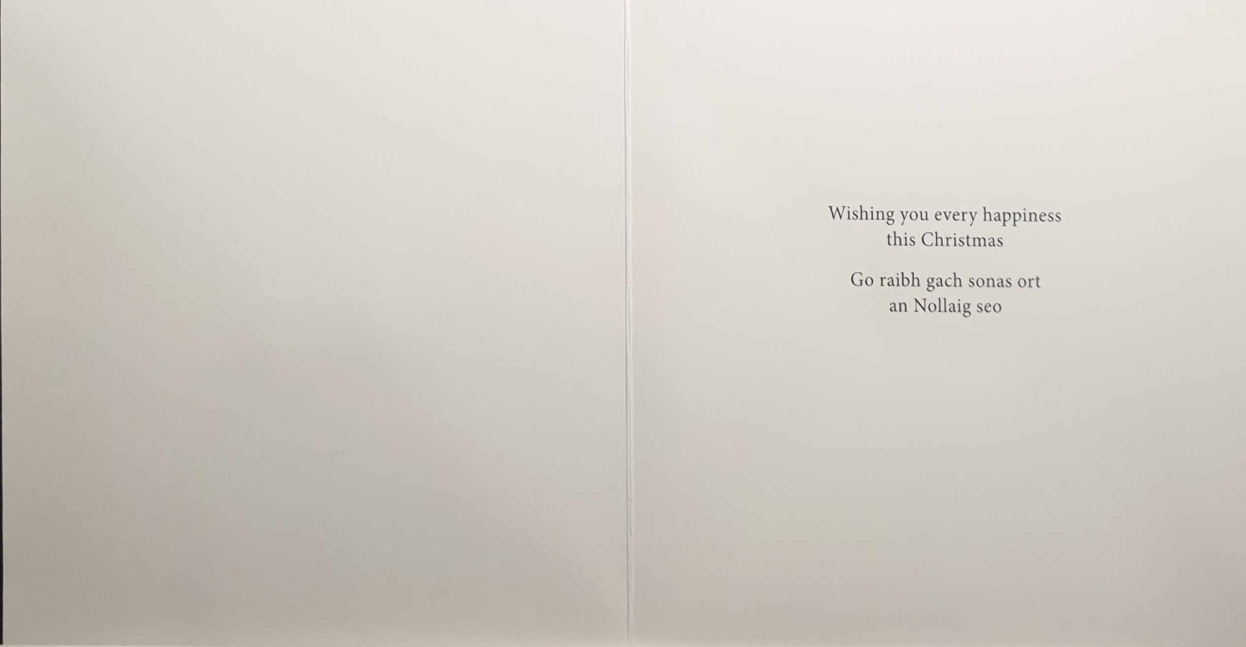 Charity Christmas Cards - Pack of 8 / Down Syndrome Ireland - Robin on Berry Branch