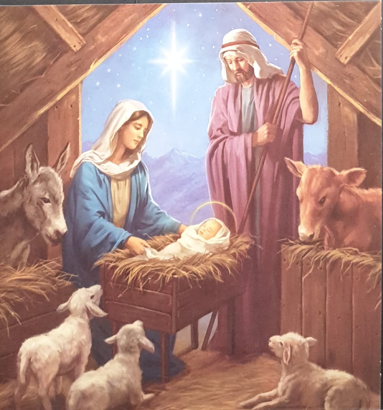 Charity Christmas Cards - Pack of 8 / Down Syndrome Ireland - Jesus, Mary & Joseph in Stable