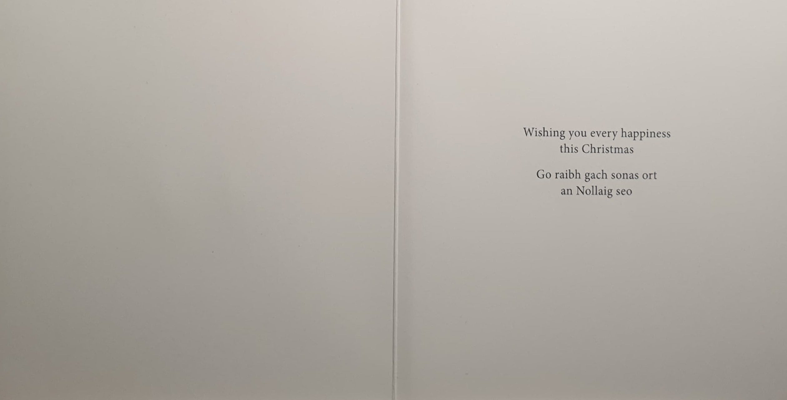 Charity Christmas Cards - Pack of 8 / Down Syndrome Ireland - Post Box & Red Berries