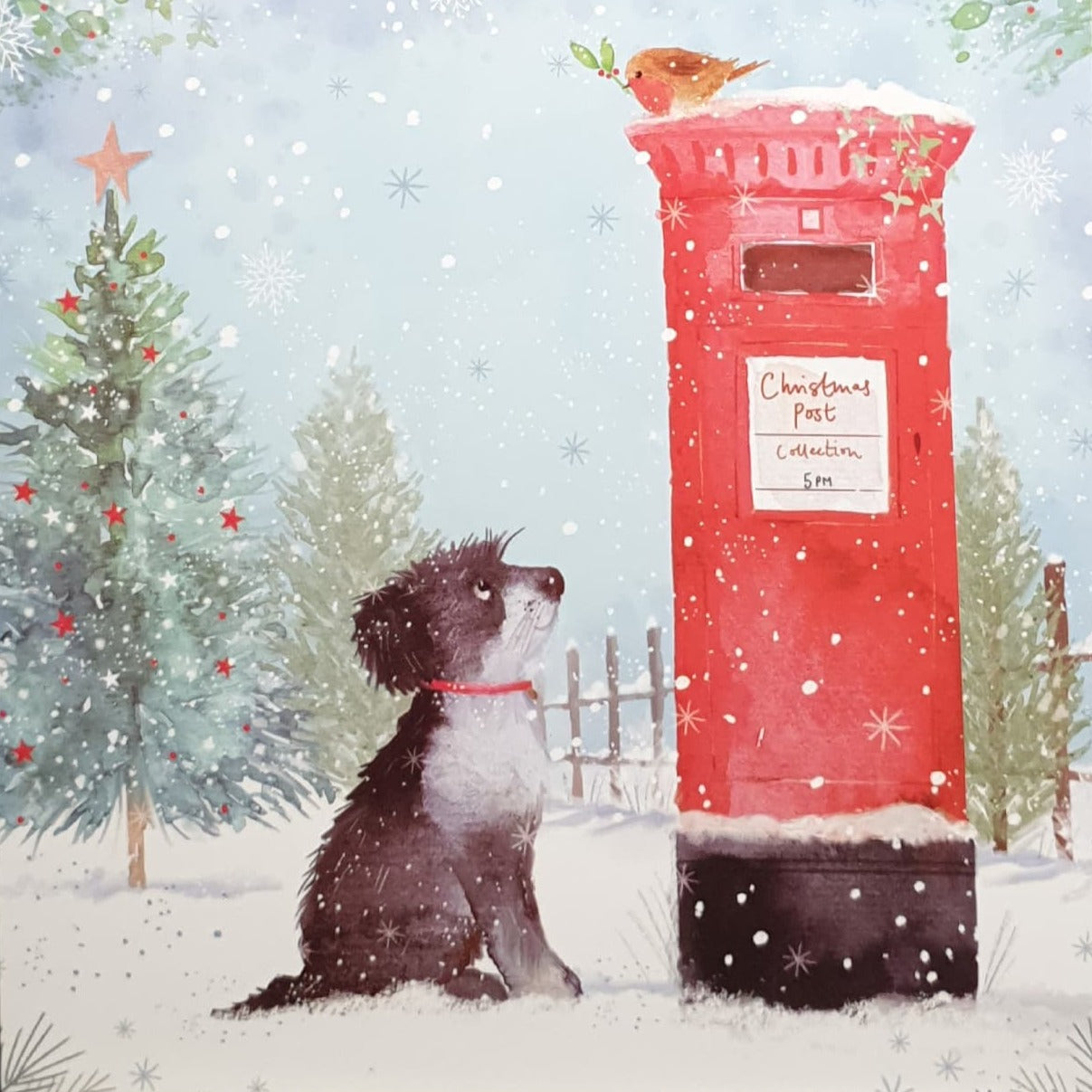 Charity Christmas Card - Pack of 8 Large Size / Northern Ireland Hospice - Dog Looking at Post Box
