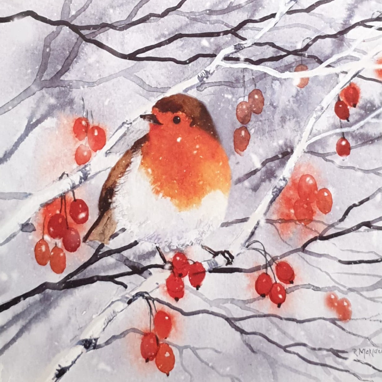 Charity Christmas Card - Pack of 8 Large Size / Northern Ireland Hospice - Robin on Berry Branch