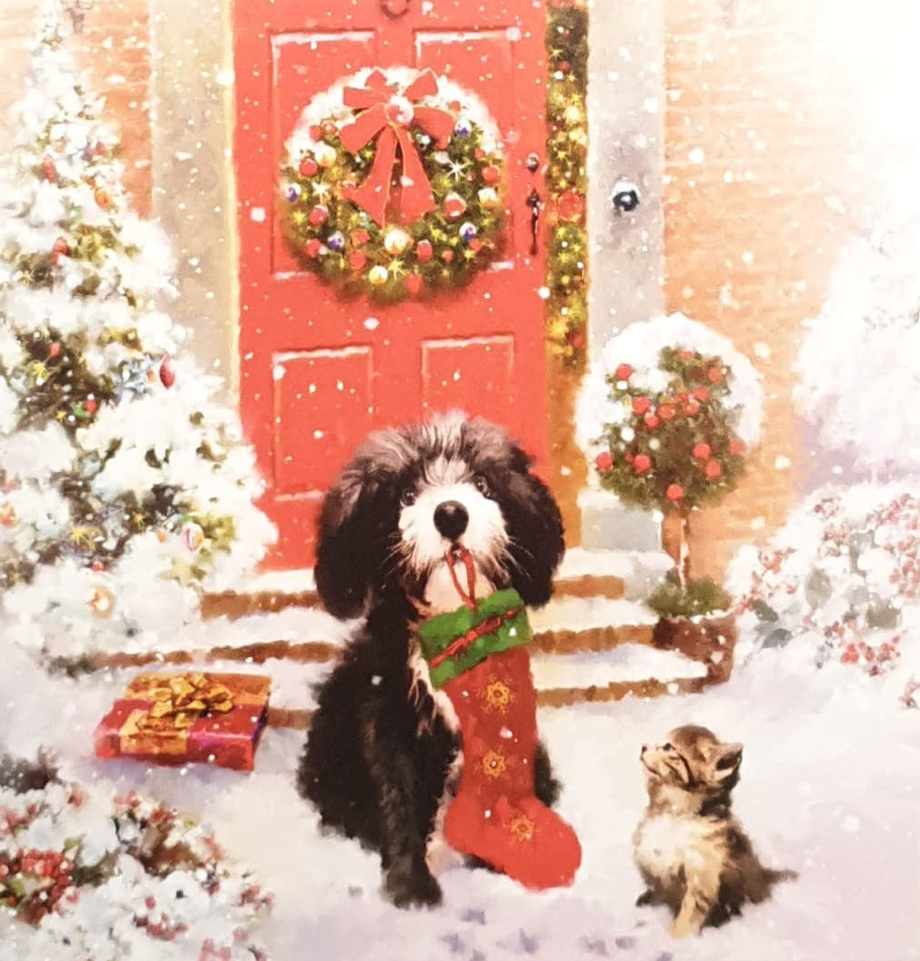 Charity Christmas Card - Pack of 8 Small / Northern Ireland Hospice - Dog Holding Stocking & Red Door