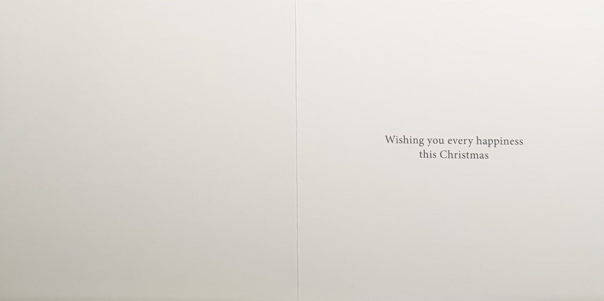 Charity Christmas Card - Pack of 8 Small / Northern Ireland Hospice - Mary Holding Baby Jesus