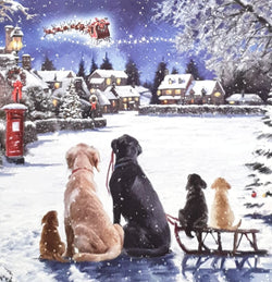 Charity Christmas Card - Pack of 8 Small / Northern Ireland Hospice - Dogs Watching Sleigh